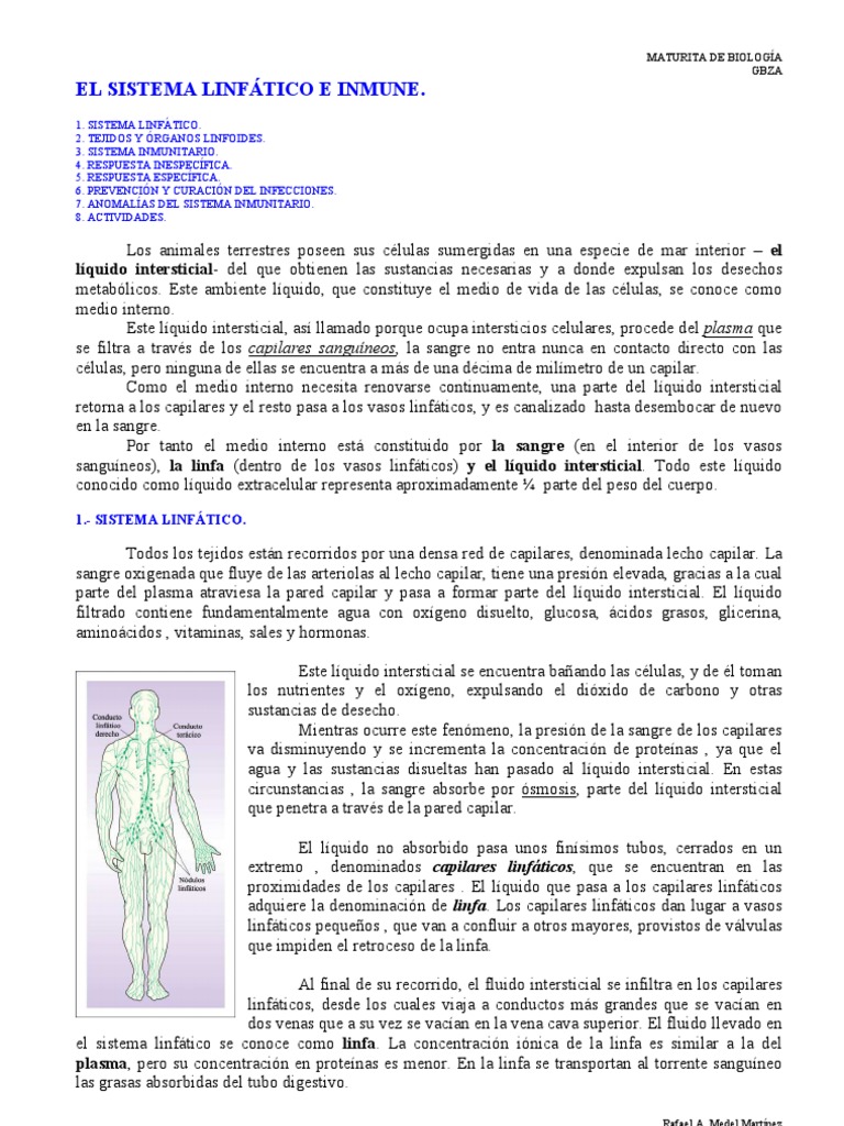 SISTEMA LINFÁTICO Y RESPUESTA INMUNITARIA Immune System