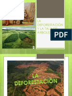 LA DEFORESTACIÓN  Y LA TALA DE ÁRBOLES.pptx