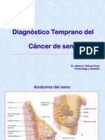 Charla Cáncer del Seno actualizada 08-2013