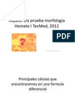 Repaso 1ra prueba morfología Hemato I TecMed