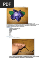 Download Como Hacer Orquideas by Netxi Noriega SN159612418 doc pdf