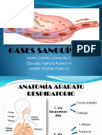 GASES SANGUNEOS Presentacion Final