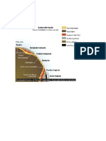 Etapas de La Formación Del Suelo