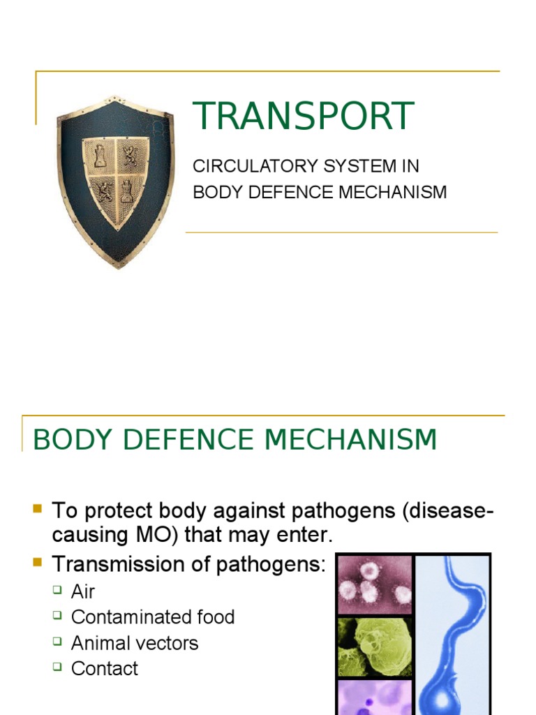 Body Defence Mechanism | PDF | Immune System | Antigen