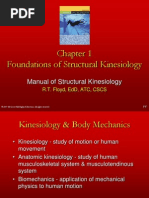 Kinesiology 1