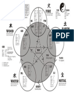 Five Element Theory