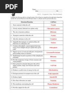 Worksheets Cell Organelles Worksheet Answers cell organelles worksheet key organelle key