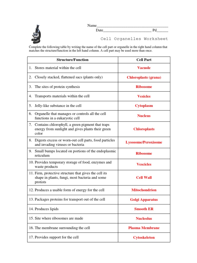 Worksheets Cell Structure Function Worksheet cell organelles worksheet key organelle biology