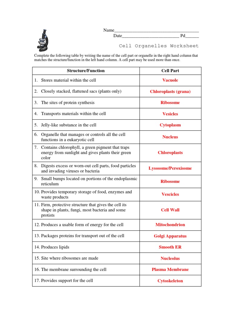Cell Organelles Worksheet KEY  PDF  Cell (Biology)  Cell Membrane Throughout Function Of The Organelles Worksheet