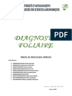 Diagnostic Foliaire
