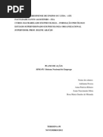 PLANO DE AÇÃO SINE-PI