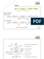 03 Coordination and Response