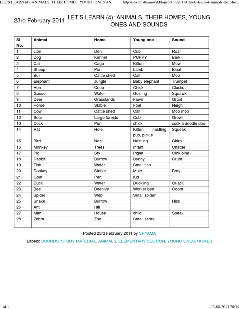 Animals, Their Homes, Young Ones and Sounds