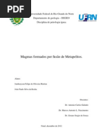 Magma formado por fusão de metapelito