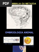 Embriologia Animal