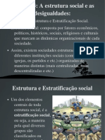 Estrutura e Estratificac3a7c3a3o Social