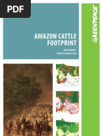 Download Amazon Cattle Footprint by CarbonSimplicity SN15984086 doc pdf