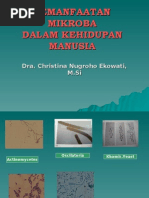 Download PEMANFAATAN MIKROBA by chi_h4ns2736 SN15985004 doc pdf