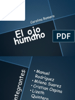 El Ojo Humano