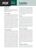 7_Cupiuba