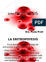 Eritropoyesis 120920095949 Phpapp01