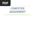 Computer Assignment