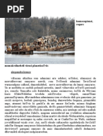 Download Alexandra Krauze by Alexandra K SN15993324 doc pdf