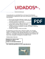 Para Cuidar El Perro Labrador Solo Tienes Que