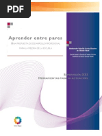 8. Aprender Entre Pares