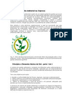 Sistema de Gestão Ambiental nas Empresas