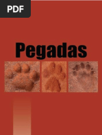 como reconhecer pegadas de animais