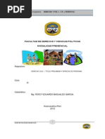Material Derecho Personas Percy Basualdo