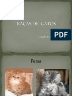 Raças de Gatos 3
