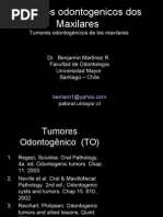 Tumores Odontogênicos