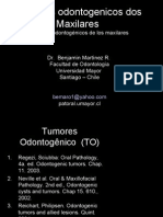 Tumores Odontogênicos