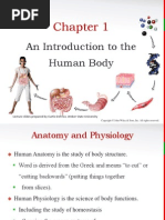 Download Principles of Anatomy and Physiology Chapter 1 PPT by pedr0e SN160017238 doc pdf