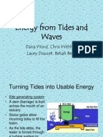 Energy From Tides and Waves: Dana Word, Chris Webber, Lacey Doucet, Bekah Beall