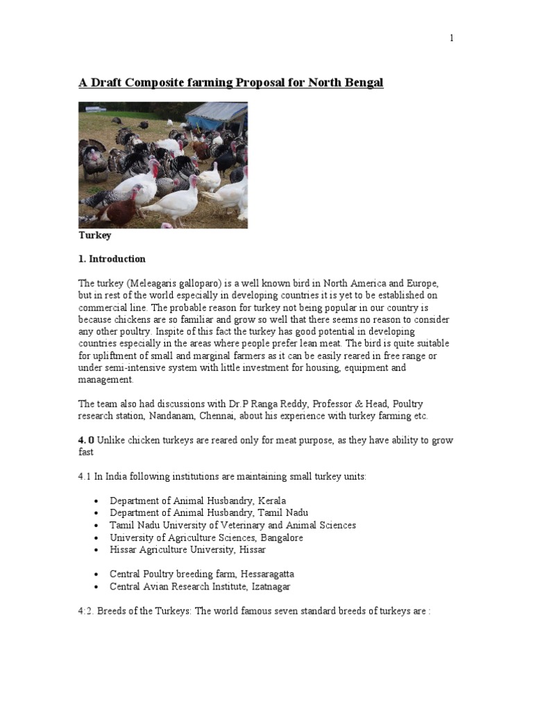 poultry-farming-business-plan-template