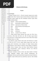 Download Bab II Tinjauan Pustaka by Emir Afif SN160077666 doc pdf
