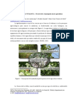 Agricultura Vitalista PDF