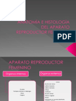 Anatomía Del Aparato Reproductor Femenino