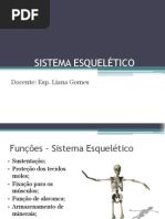 SISTEMA ESQUELÉTICO