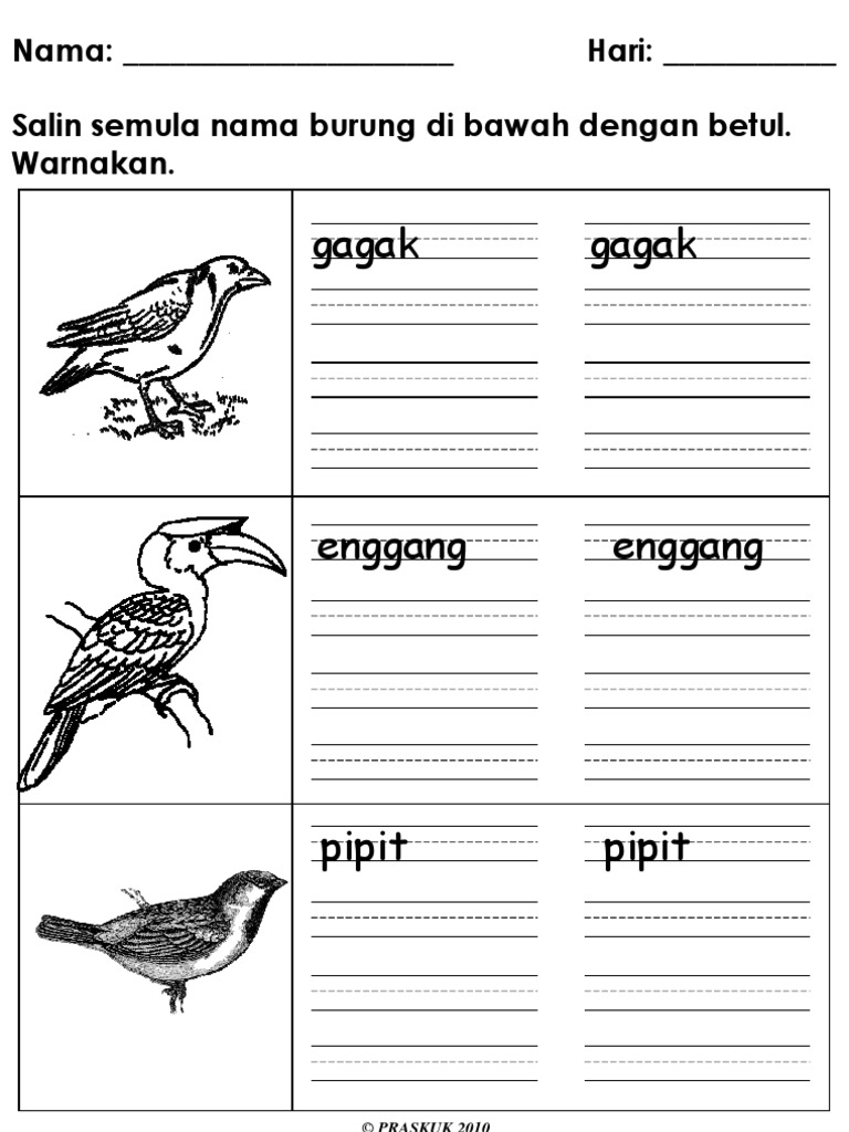 Menulis Nama Burung PDF