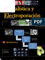 Biobalística y Electroporación