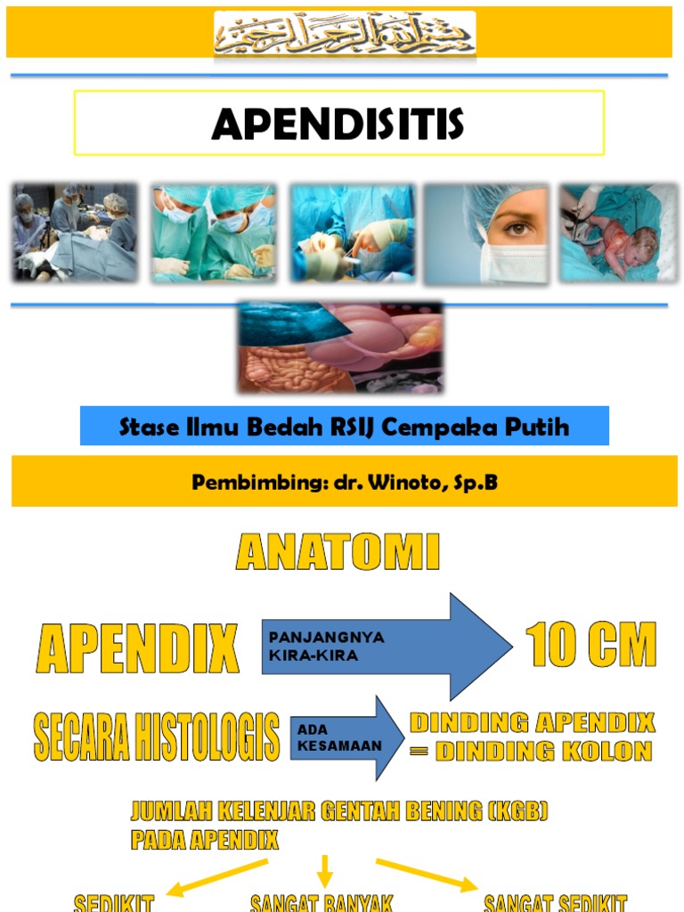 Appendix Fix | PDF