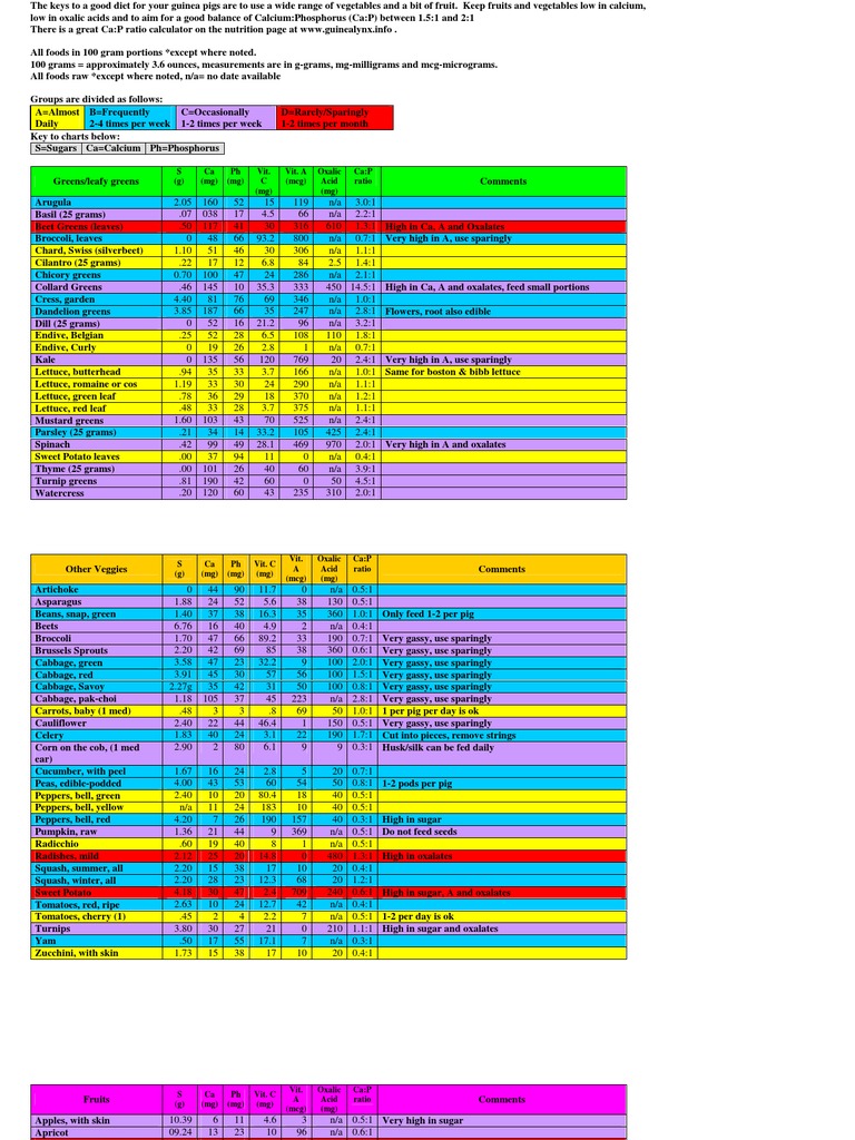 Veggie and Fruit Charts for Guinea Pigs Leaf Vegetable Vegetables