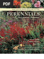 Plante perene - Perennials
