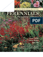 Plante Perene - Perennials