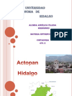 Actopan (Hidalgo)