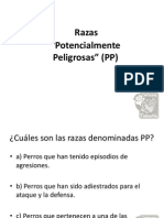 Razas de Perro PP